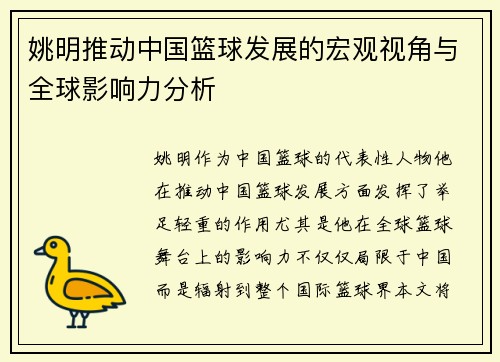 姚明推动中国篮球发展的宏观视角与全球影响力分析