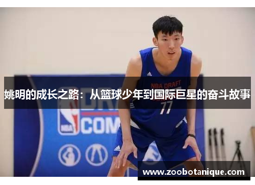姚明的成长之路:从篮球少年到国际巨星的奋斗故事
